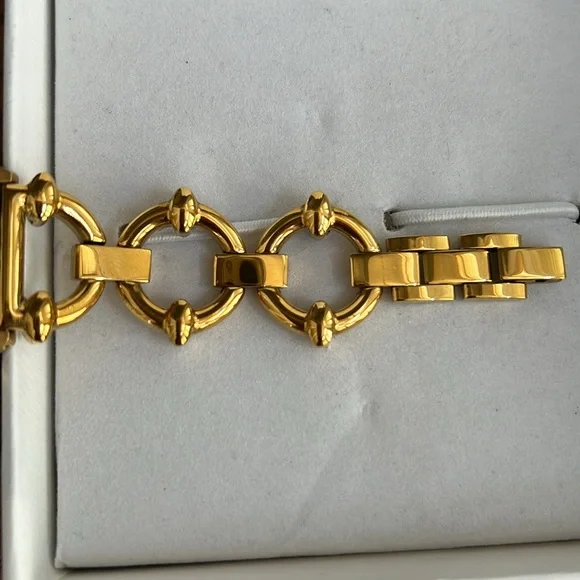 NEW Goldenerre Classic Link Apple Band - Gold 45mm - Picture 5 of 8